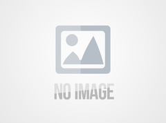 Standard laminated plywood